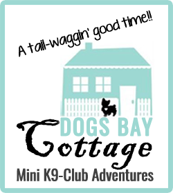 Dogs Bay Country Cottage Dog Daycare Dogs Bay