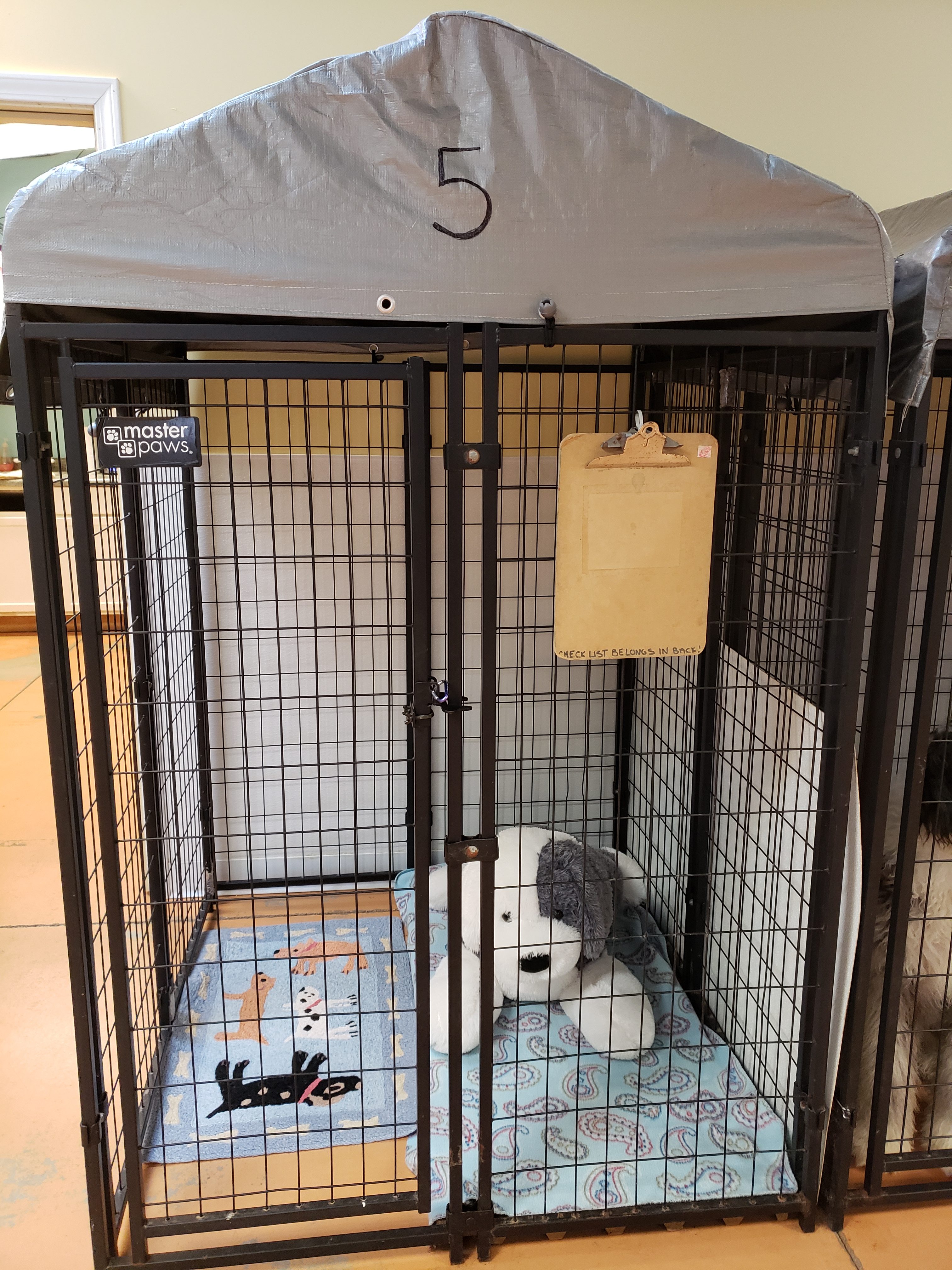 Boarding Packages And Pricing Dogs Bay Holland Mi